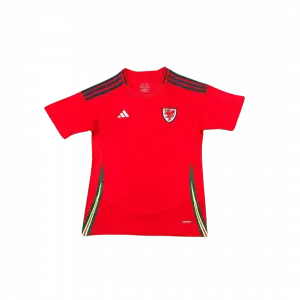 Camiseta Selección Gales - Eurocopa 2024