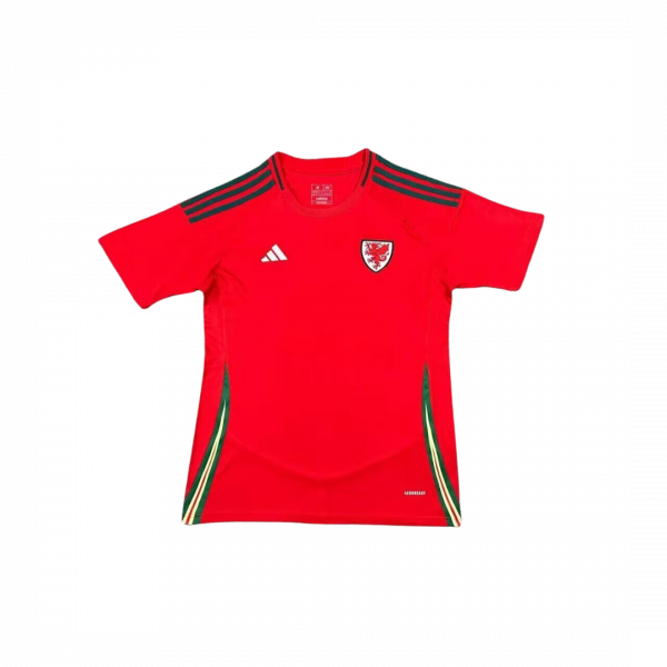 Camiseta Selección Gales - Eurocopa 2024
