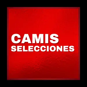 Camisetas Selecciones