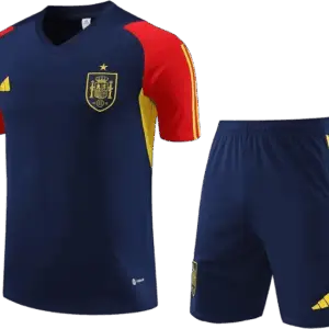 Conjuntos de Entrenamiento Selección España