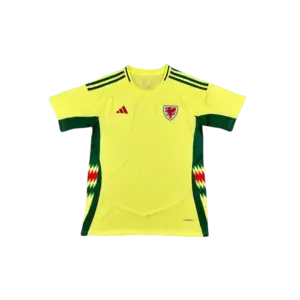 Camiseta Selección Gales - Eurocopa 2024
