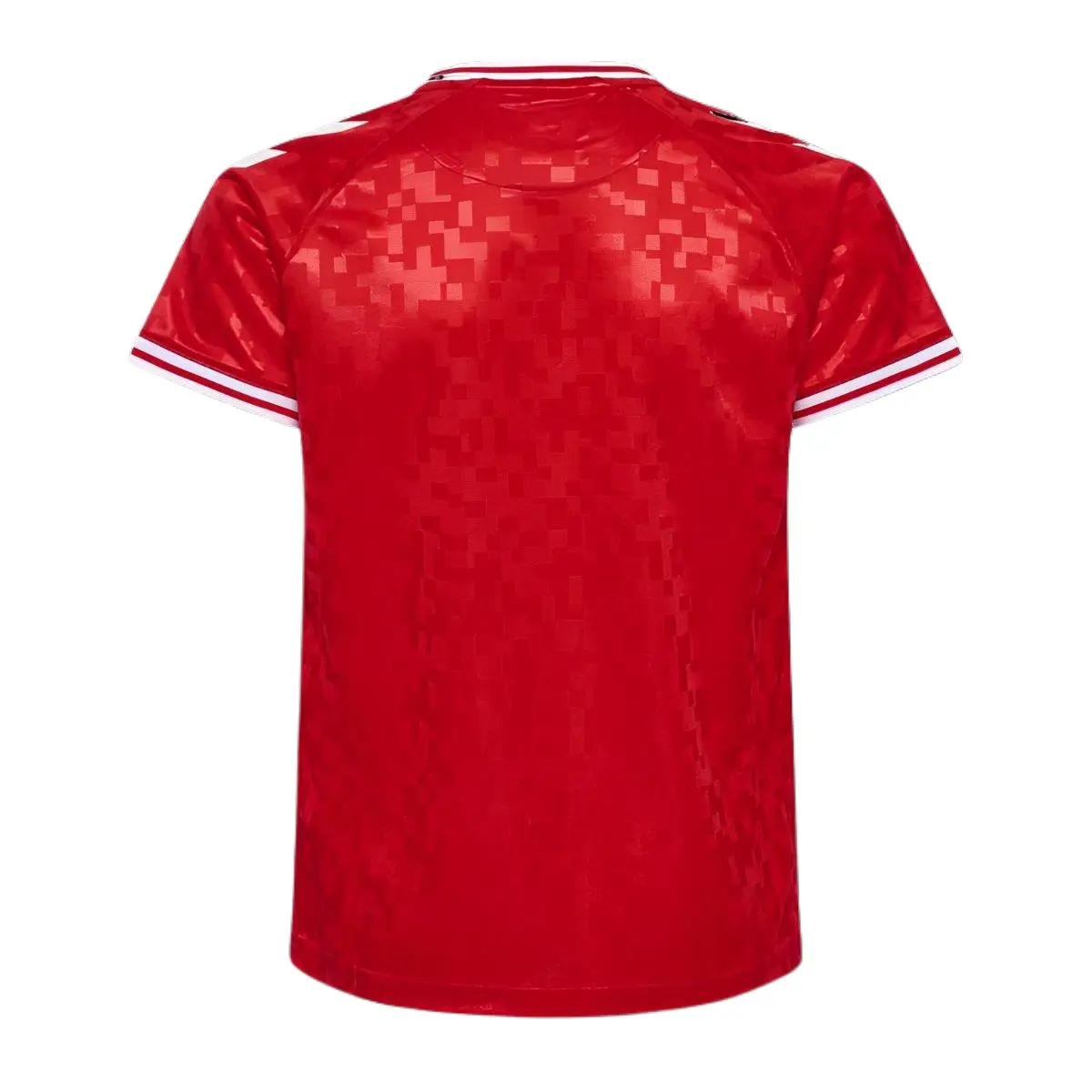 Camiseta Selección Dinamarca Eurocopa 2024 - Imagen 2