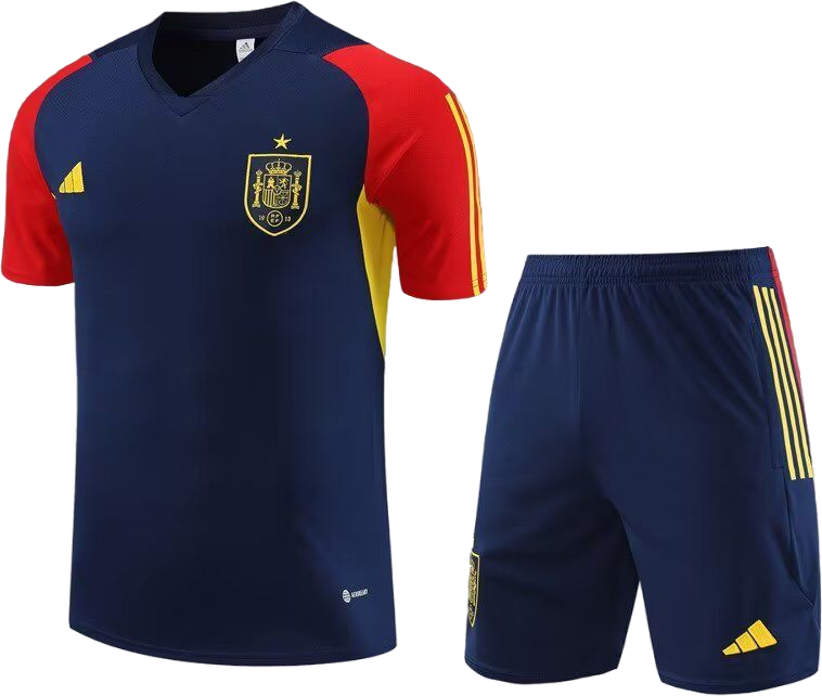Conjuntos de Entrenamiento Selección España