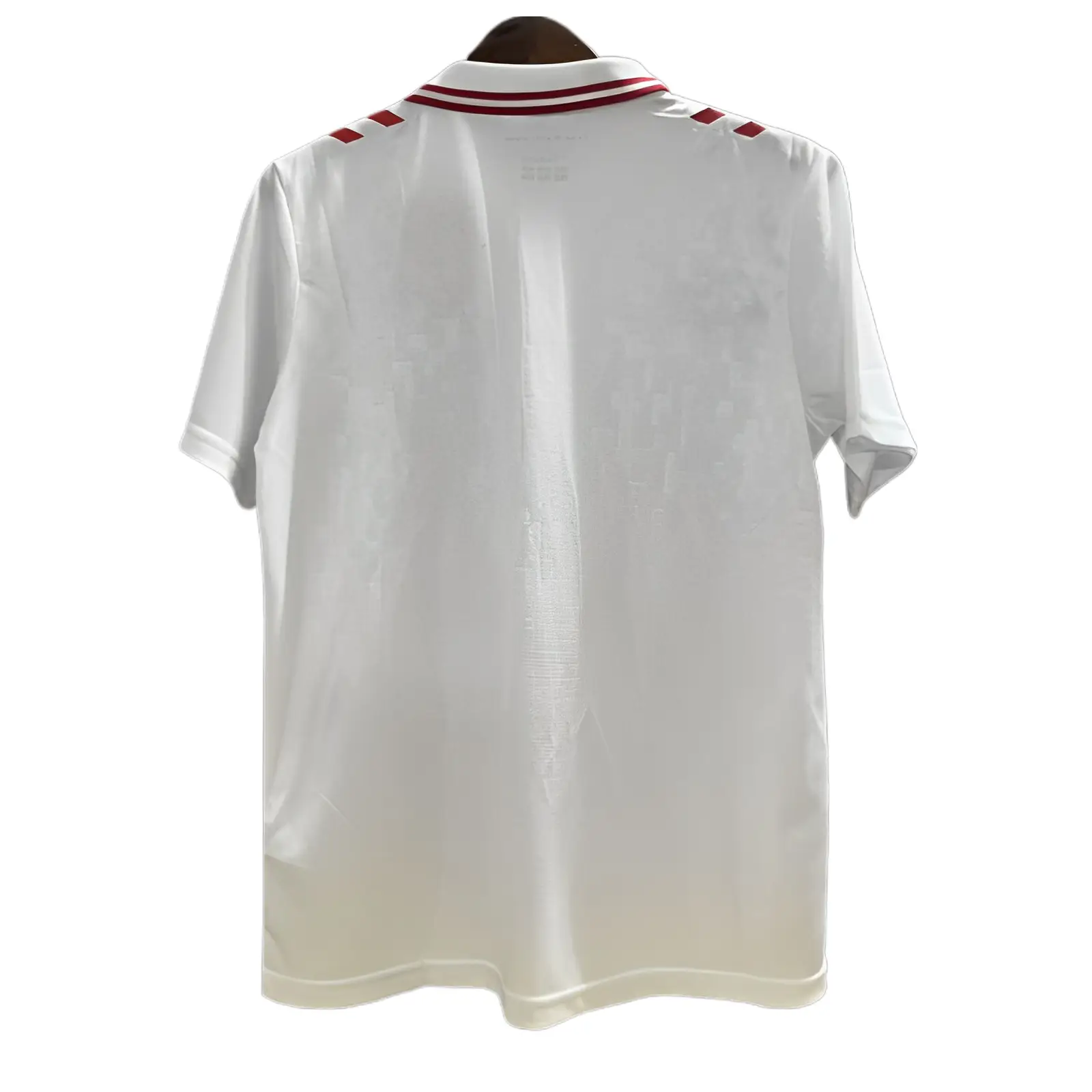 Camiseta Selección Dinamarca Eurocopa 2024 - Imagen 2