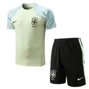 Conjunto de Entrenamiento Selección Brasil