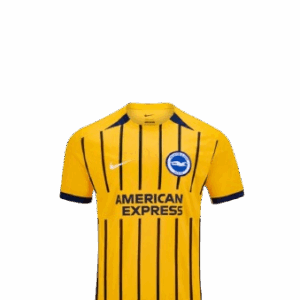 Camiseta Brighton & Hove Albion Football Club 2025/26