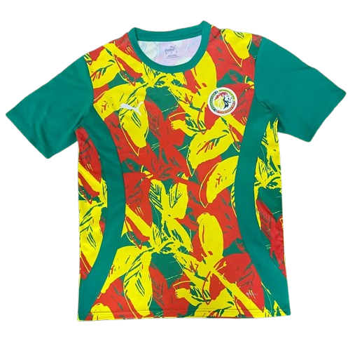 Camiseta Pre-Match | Selección Senegal 2024/25 Camiseta Pre-Match | Selección Senegal 2024/25