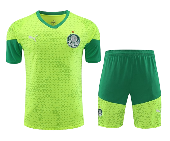 Conjunto de Entrenamiento Sociedade Esportiva Palmeiras 2024/25 Conjunto de Entrenamiento Sociedade Esportiva Palmeiras 2024/25