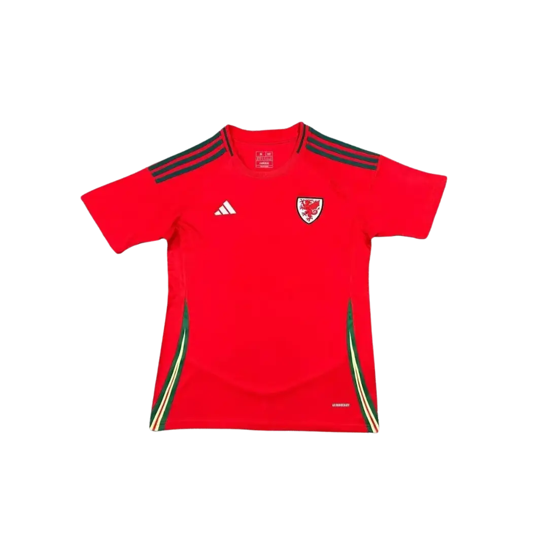 Camiseta Selección Gales - Eurocopa 2024 | Local