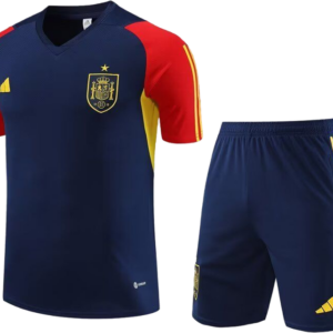 Conjuntos de Entrenamiento Selección España