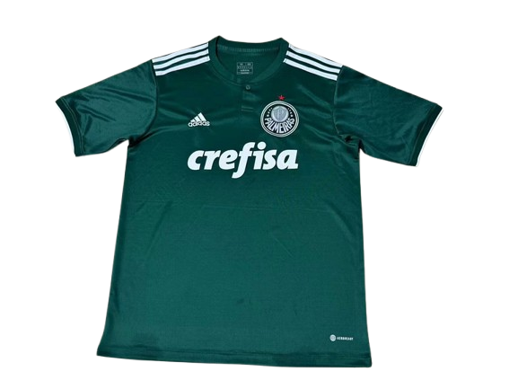 Camiseta Retro Sociedade Esportiva Palmeiras 2018/19 Camiseta Retro Sociedade Esportiva Palmeiras 2018/19