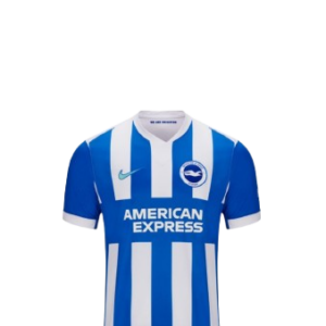 Camiseta Brighton & Hove Albion Football Club 2025/26
