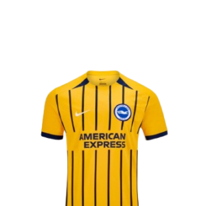 Camiseta Brighton & Hove Albion Football Club 2025/26