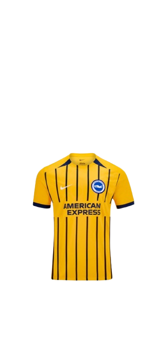Camiseta Brighton & Hove Albion Football Club 2025/26 Camiseta Brighton & Hove Albion Football Club 2025/26